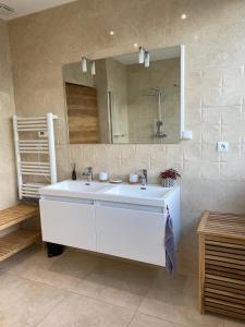 łazienka z białą umywalką i lustrem w obiekcie Maison d architecte avec spa w Épernay +25 zdjęć