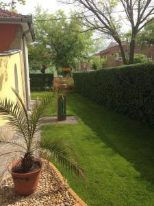 Zahrada ubytování Thermal Garden Weninger Apartmanok
