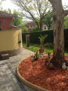 Zahrada ubytování Thermal Garden Weninger Apartmanok