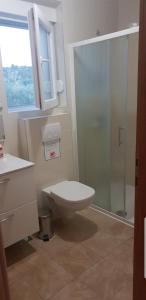 a bathroom with a toilet and a glass shower at Apartmani Kate in Klek