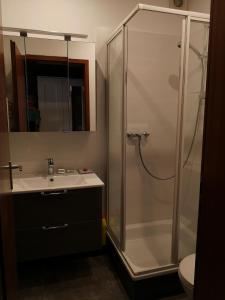 een badkamer met een douche, een wastafel en een toilet bij Ferienwohnung Hermann in Bovenden