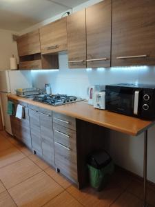a kitchen with a counter with a microwave and a stove at Noclegi u Marcela in Ustrzyki Dolne