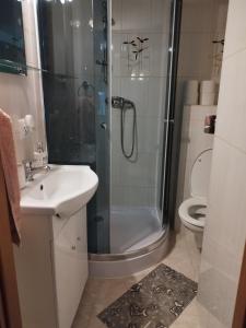 a bathroom with a shower and a sink and a toilet at Noclegi u Marcela in Ustrzyki Dolne