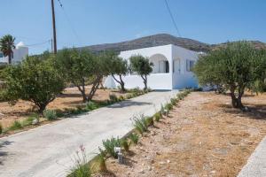 una strada davanti a una casa bianca con alberi di MFP Dryos Paros House Project a Drios