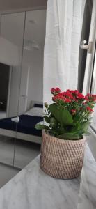 Fotografie z fotogalerie ubytování Casa Gimaga v destinaci Pozzuoli