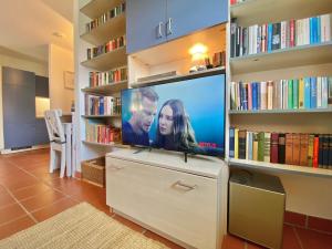 einen Flachbild-TV in einer Bibliothek mit Büchern in der Unterkunft Strandnahe Ferienwohnung Rügen in Dranske