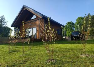 a log cabin in a yard with two trees at Słoneczne Mazury - Dom Wakacyjny in Piasutno