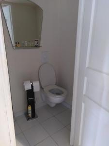 a small bathroom with a toilet and a mirror at La chambre de la maison bleue in Colmar