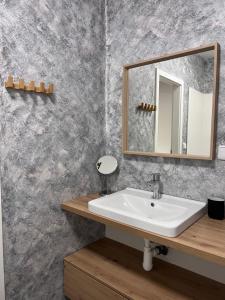 a bathroom with a sink and a mirror at Downtown Apartments in Pilsen