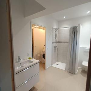 un bagno con doccia, lavandino e WC di La maison de Lili a Colayrac-Saint-Cirq