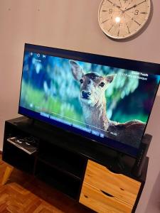 un televisor con una foto de un ciervo en la pantalla en Departamento Nueva Cordoba en Córdoba