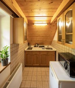 a kitchen with wooden cabinets and a sink at Pension Cirf in Strážné