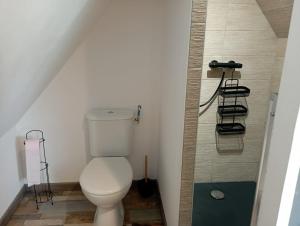 ein Badezimmer mit einem weißen WC und einer Dusche in der Unterkunft Gîte avec son bain nordique privatif au feu de bois in Pleubian