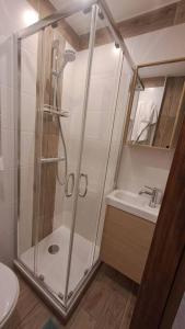una ducha en un baño con inodoro y lavabo en Petit-cocon proche centre-ville, en Caluire-et-Cuire 10 fotos más