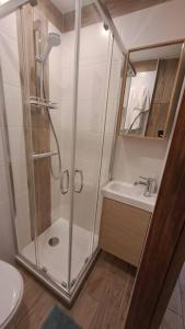 La salle de bains est pourvue d'une douche, d'un lavabo et de toilettes. dans l'établissement Petit-cocon proche centre-ville, à Caluire-et-Cuire