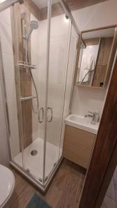 Un baño con ducha, lavabo e inodoro. en Petit-cocon proche centre-ville, en Caluire-et-Cuire