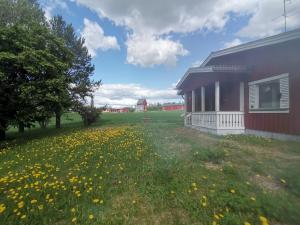 a field of dandelions next to a house at DecaVillage Studios in Kuivanto +5 photos