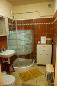 a bathroom with a shower and a toilet and a sink at Foxy Apartman in Eger