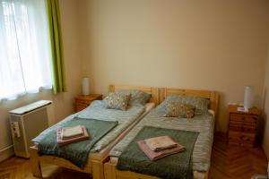 a bedroom with two twin beds and a window at Foxy Apartman in Eger