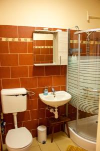 a bathroom with a toilet and a sink and a shower at Foxy Apartman in Eger