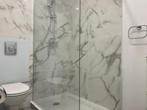 łazienka z prysznicem i toaletą w obiekcie Hotel TULTY w Tours