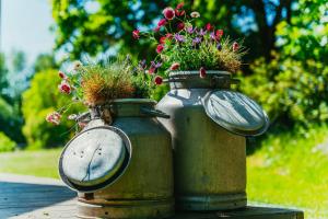 Zwei alte Hydranten mit Blumen drauf. in der Unterkunft Uue-Ringi Holiday in Puise