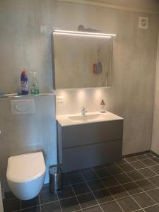 a bathroom with a sink and a toilet and a mirror at Solvik #apartment #Loen in Loen