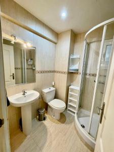 a bathroom with a toilet and a sink and a shower at Acogedor Dúplex Barrio del Pilar in Madrid
