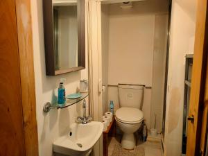 a small bathroom with a toilet and a sink at Central Nottingham Studio in Nottingham