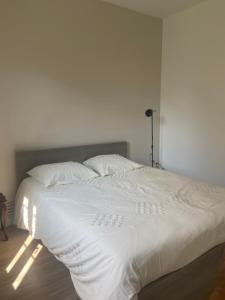 聖阿芒蒙特龍的住宿－Le Billeron，白色的床、白色床单和枕头