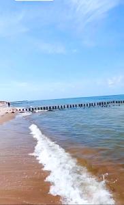 a beach with a pier in the water at Pokoje U Hanki in Dziwnów