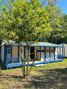 un bâtiment bleu et blanc avec un arbre devant lui dans l'établissement Camping TurisMar, à Tossa de Mar