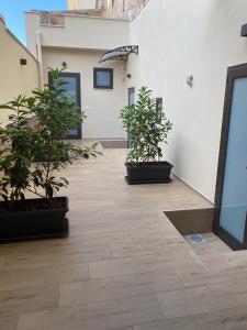莫杜尼奧的住宿－Regina Bona Rooms，一间在地板上种植了两株盆栽植物的房间