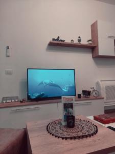 Kuchyň nebo kuchyňský kout v ubytování Gex apartments