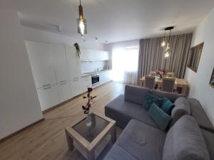 ein Wohnzimmer mit einem grauen Sofa und einem Tisch in der Unterkunft Golden Apartament in Stettin