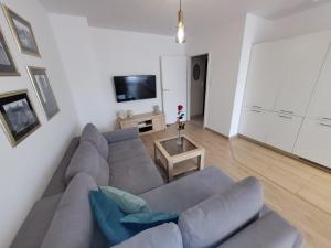 salon z szarą kanapą i telewizorem w obiekcie Golden Apartament w Szczecinie