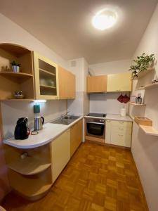 a kitchen with wooden cabinets and a white counter top at Apartma Felicija in Ljubljana +6 photos