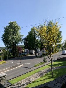 una calle vacía con un árbol a un lado de la carretera en Ferienwohnung Stadtvilla, en Bad Marienberg