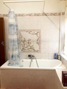 eine Badewanne mit einem blauen Duschvorhang im Bad in der Unterkunft A casa di Maria in Ozieri