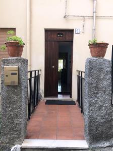 einer Eingangstür eines Gebäudes mit zwei Topfpflanzen in der Unterkunft A casa di Maria in Ozieri