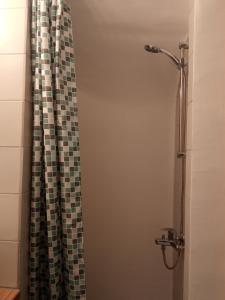 y baño con ducha y cortina de ducha. en GS APARTMENT, en Gythio