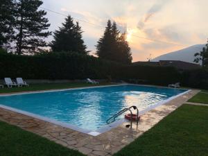 a swimming pool with two swans in the water at MiniLOFT con Piscina Lago di Como Lecco in Galbiate