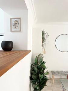 Gallery image of Maison avec extérieur proche saint Guilhem le desert in Saint-André-de-Sangonis