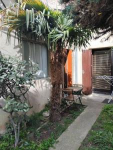 palma i stół obok budynku w obiekcie Les salenques w Tuluzie