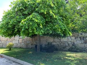 Fotografia z galérie ubytovania Preciosa casa con aparcamiento a 1km de la Toja v destinácii O Grove