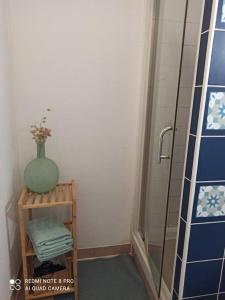 ein Badezimmer mit einer Dusche und einer grünen Vase auf einem Regal in der Unterkunft BEE COOL 75 m2 Le Verdon in Le Verdon-sur-Mer