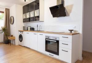 a white kitchen with a sink and a dishwasher at Design & Chill #Altstadt #Beamer in Lutherstadt Wittenberg