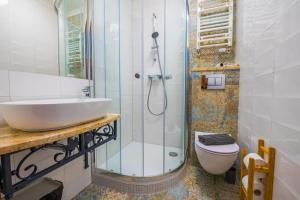 a bathroom with a sink and a shower and a toilet at Villa Akacja in Łeba +70 photos