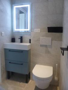 a bathroom with a toilet and a sink and a mirror at Logement idéal au centre-ville in Cavalaire-sur-Mer