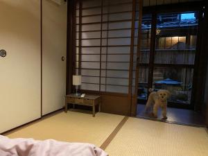 Domácí mazlíčci ubytovaní s hosty v ubytování Hotel Lantern Gion